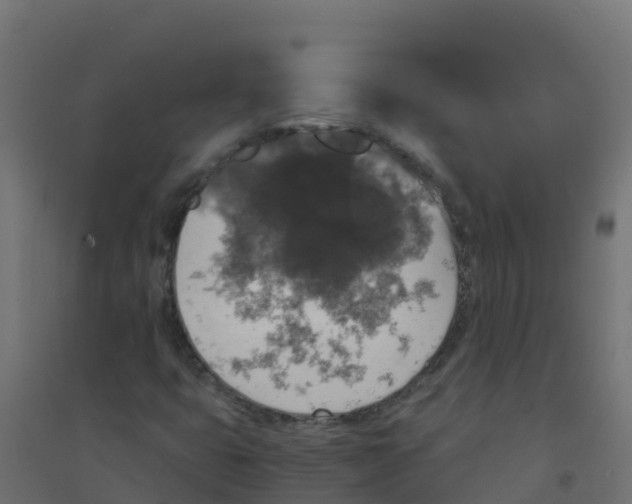X0000094181399200711241542