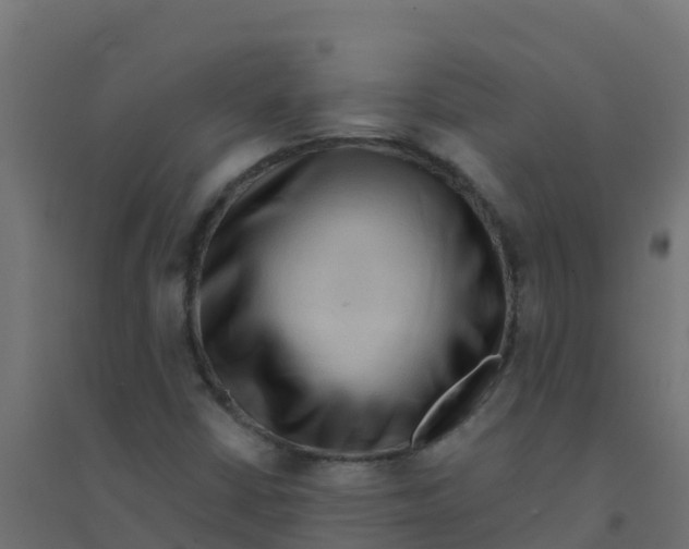 X0000094181402200711241542