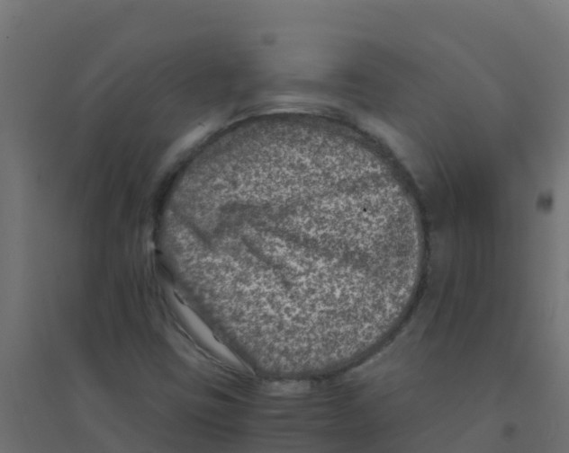 X0000094181403200711241542