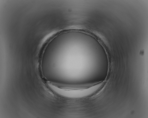 X0000094181406200711241542