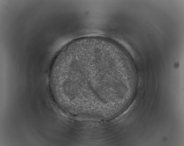 X0000094181407200711241542