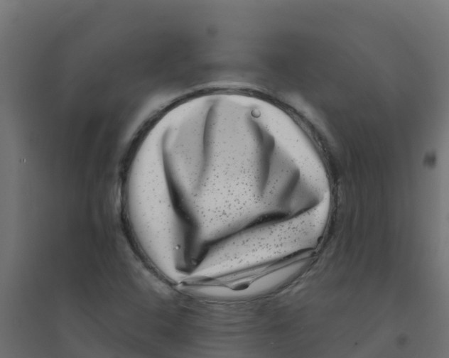 X0000094181408200711241542