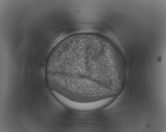 X0000094181409200711241542