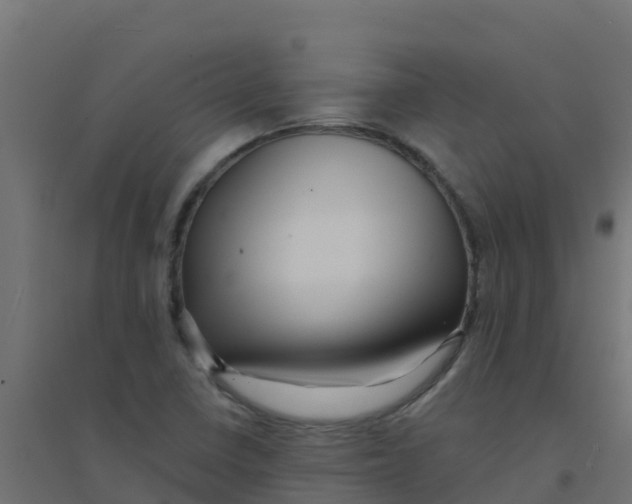 X0000094181410200711241542