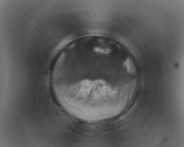 X0000094181411200711241542