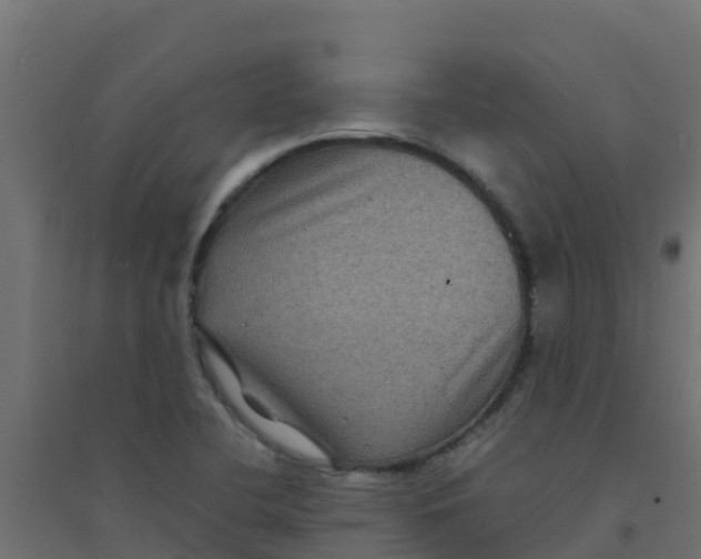X0000094181412200711241542