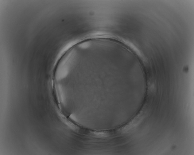 X0000094181413200711241542