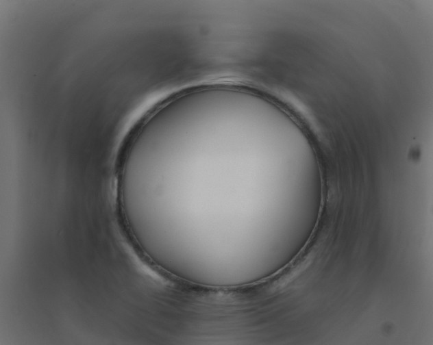 X0000094181414200711241542