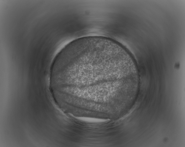 X0000094181415200711241542
