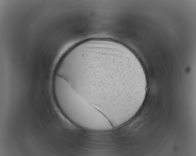 X0000094181416200711241542