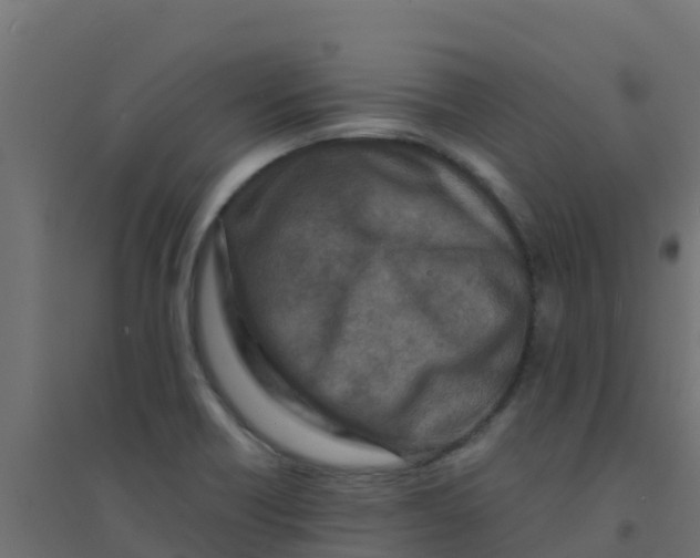 X0000094181418200711241543