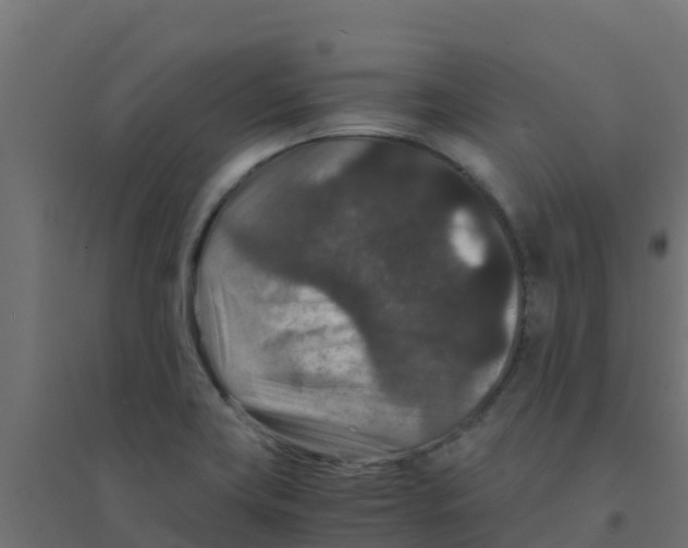 X0000094181419200711241543