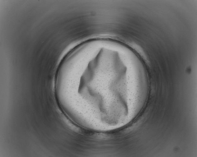 X0000094181420200711241543