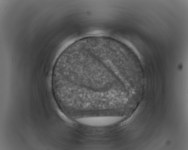 X0000094181421200711241543