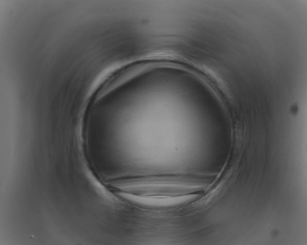 X0000094181422200711241543