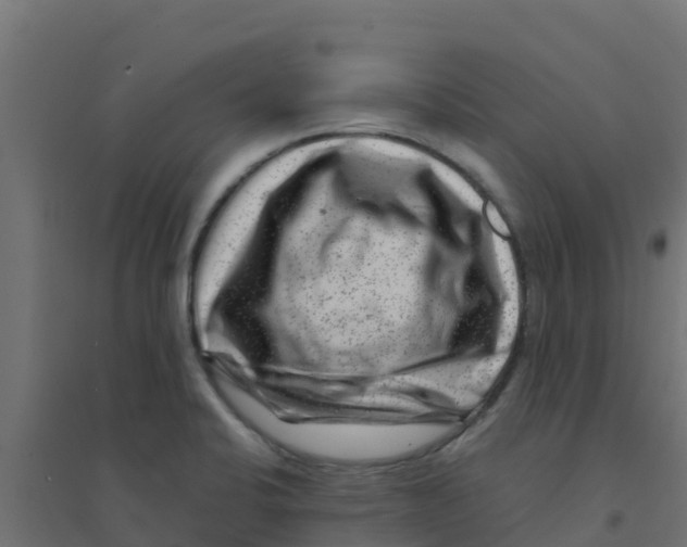 X0000094181424200711241543