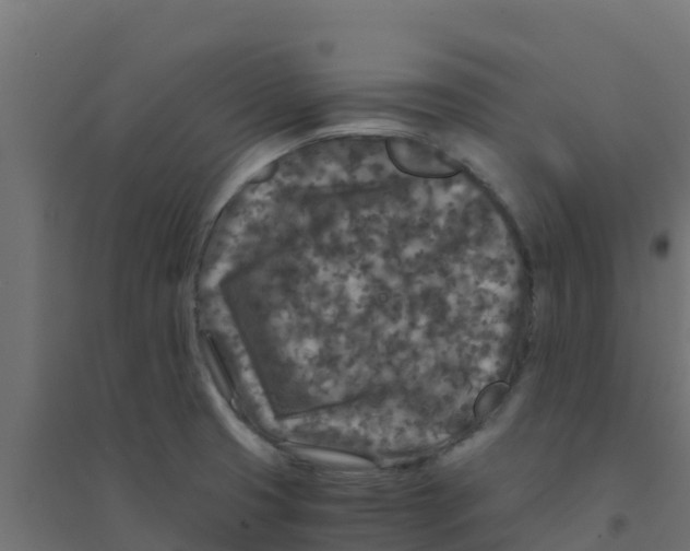 X0000094181425200711241543