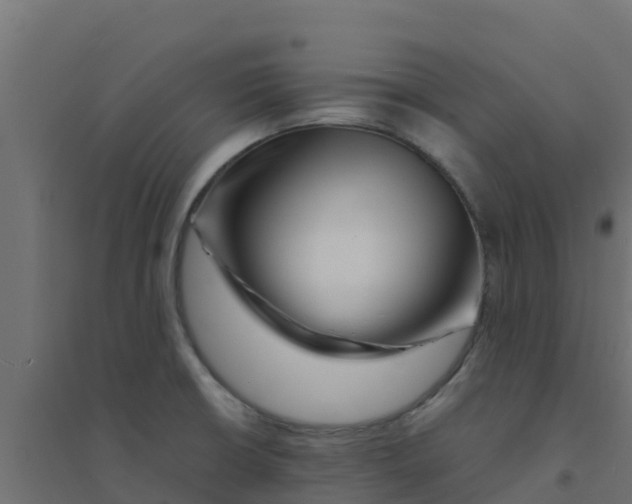 X0000094181426200711241543