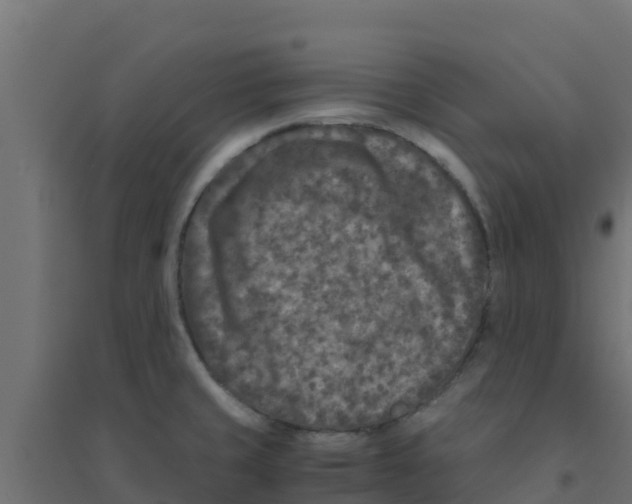 X0000094181429200711241543