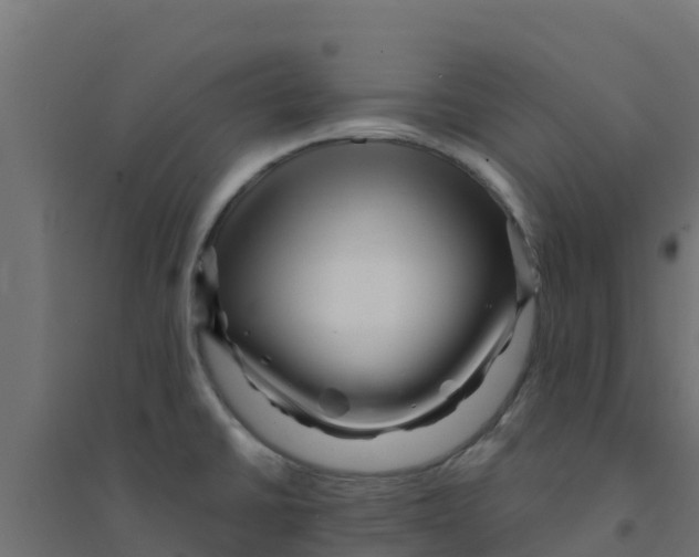 X0000094181430200711241543