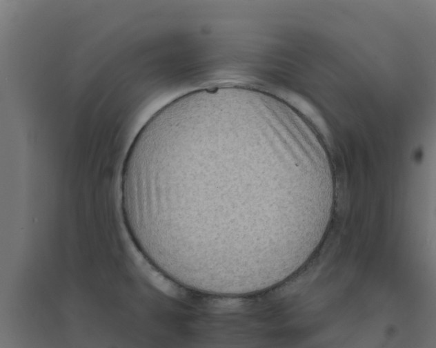 X0000094181431200711241543