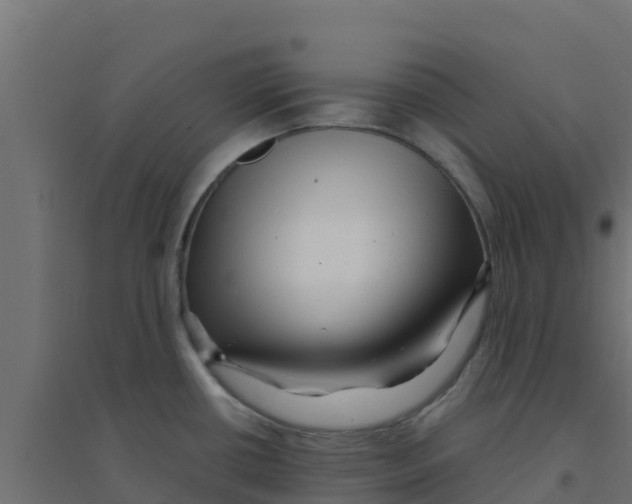 X0000094181434200711241543