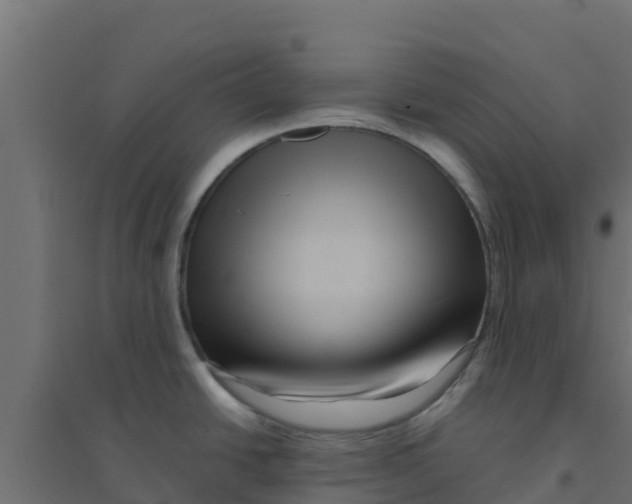 X0000094181438200711241543