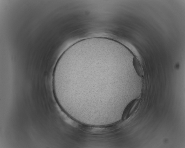 X0000094181439200711241543