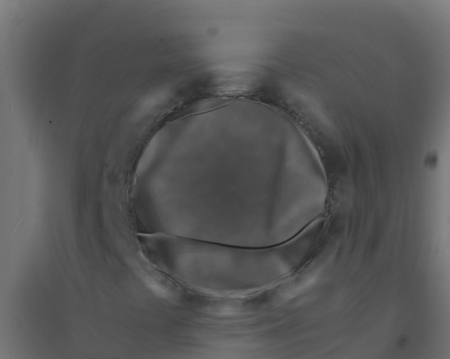 X0000094181441200711241542