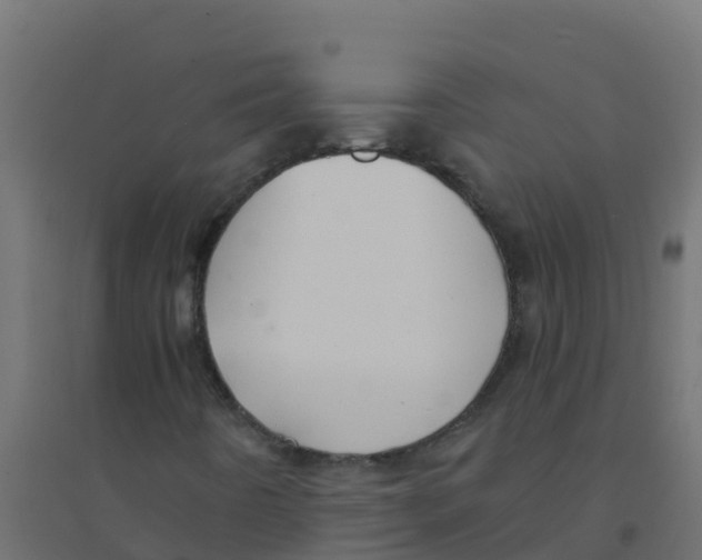 X0000094181442200711241542