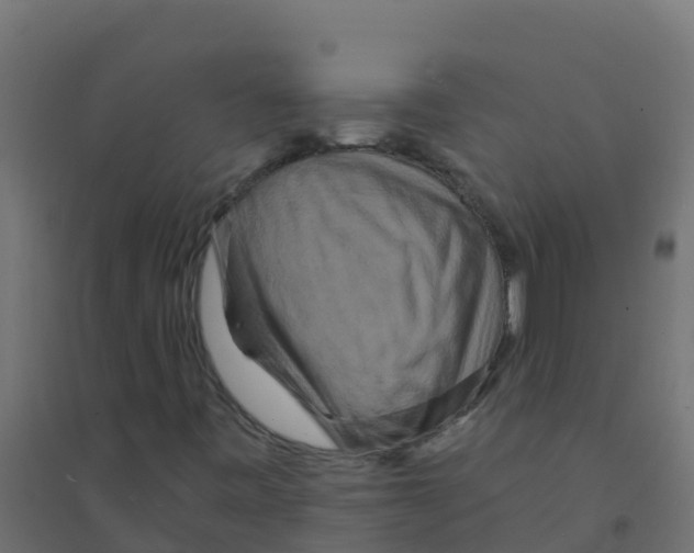 X0000094181443200711241542