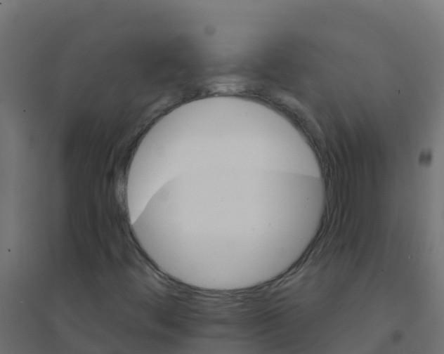 X0000094181444200711241542