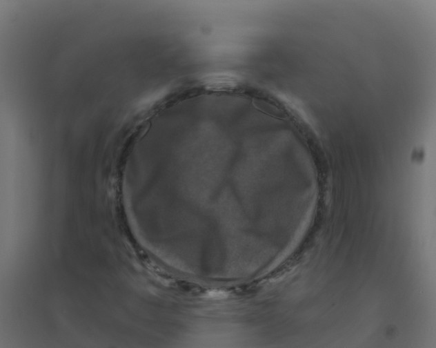 X0000094181445200711241542