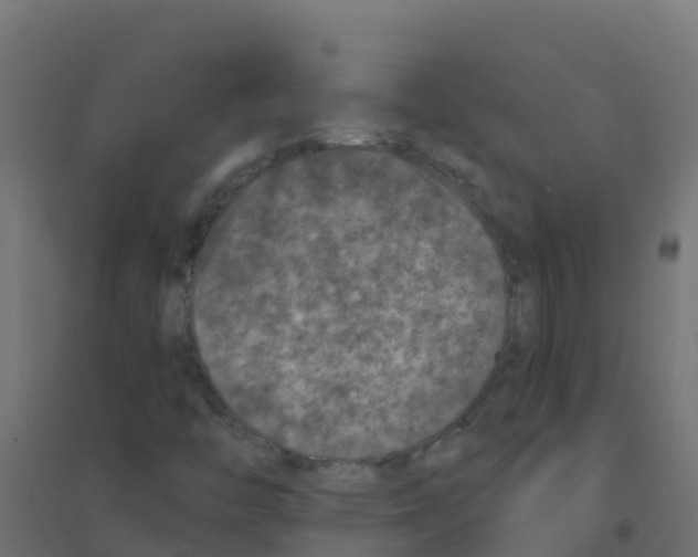 X0000094181446200711241542