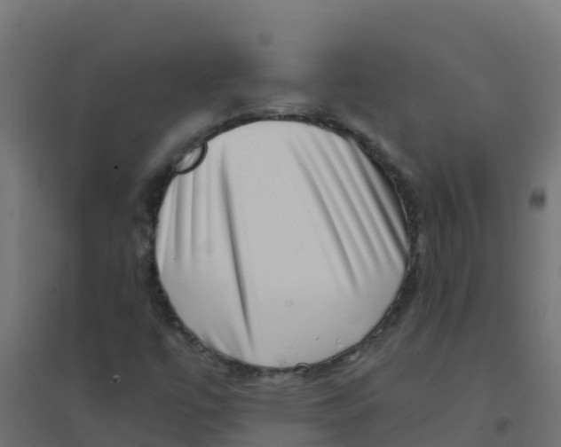 X0000094181447200711241542