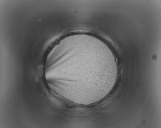 X0000094181448200711241542