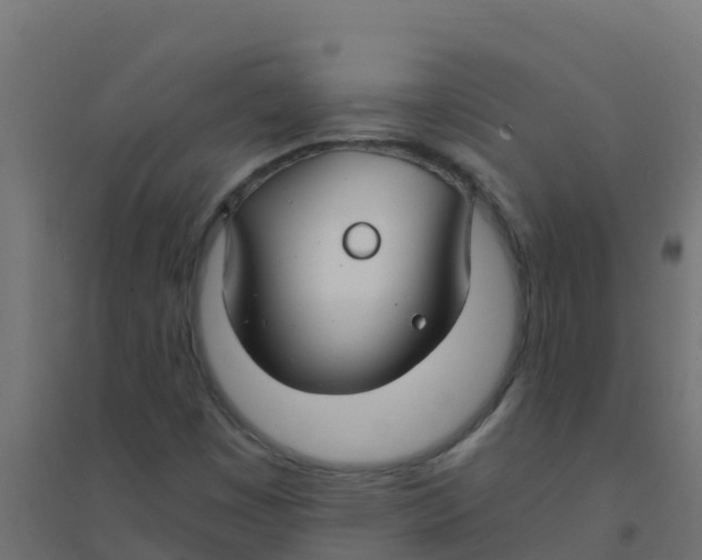 X0000094181449200711241542
