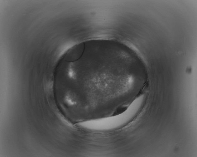 X0000094181450200711241542