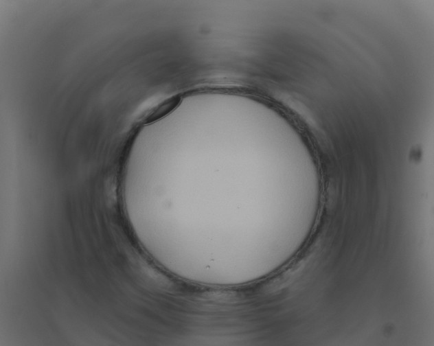 X0000094181451200711241542