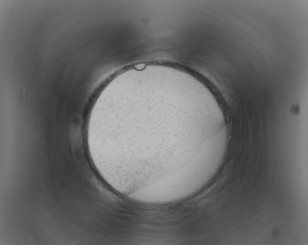 X0000094181452200711241542