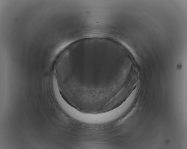X0000094181453200711241542