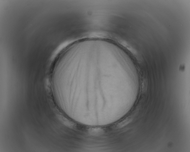 X0000094181454200711241542