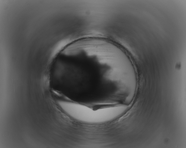 X0000094181455200711241542