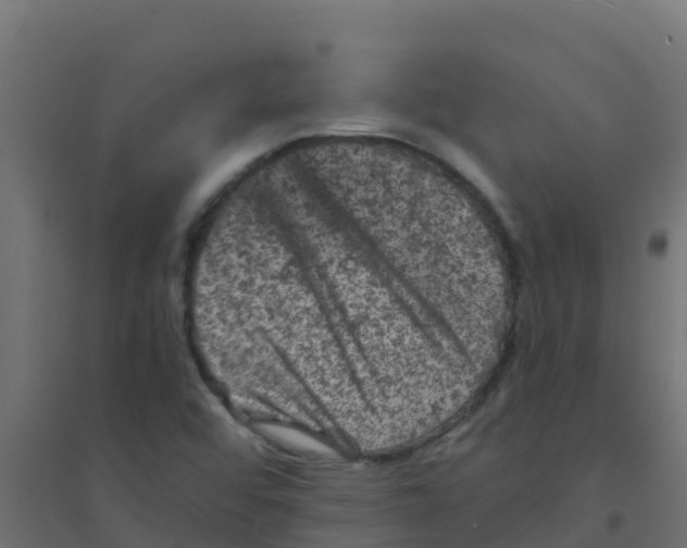 X0000094181456200711241542