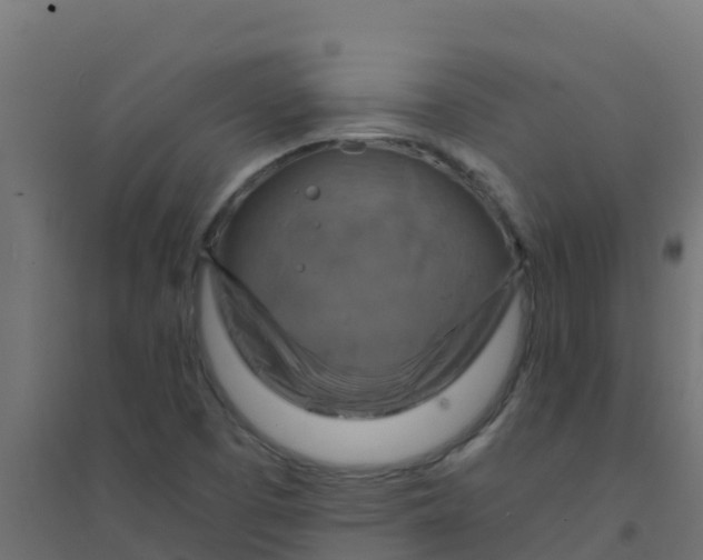 X0000094181457200711241542