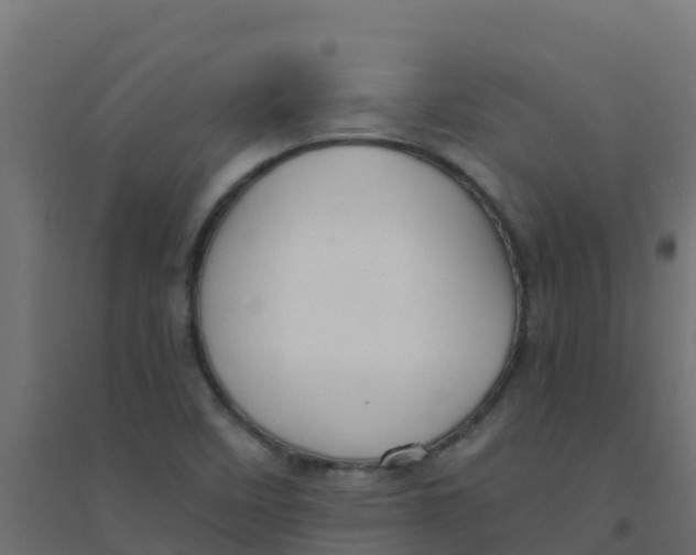 X0000094181458200711241542