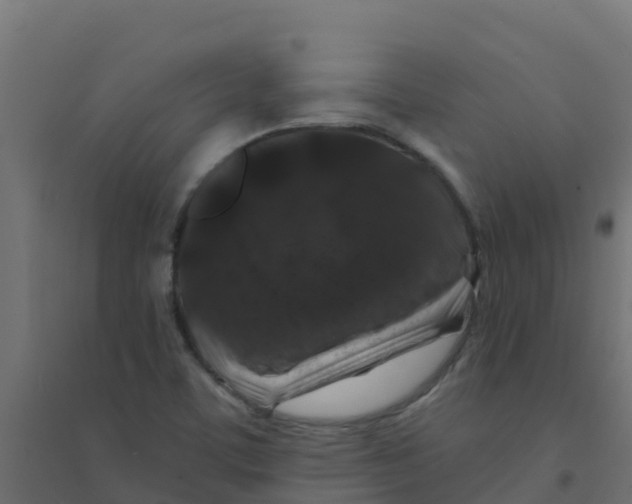 X0000094181459200711241542