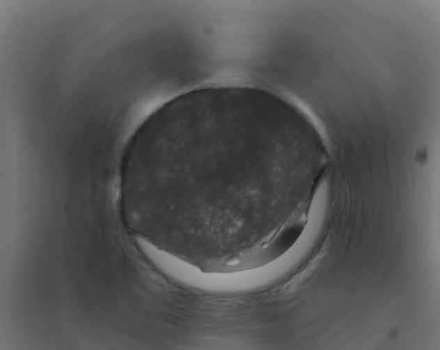 X0000094181461200711241542