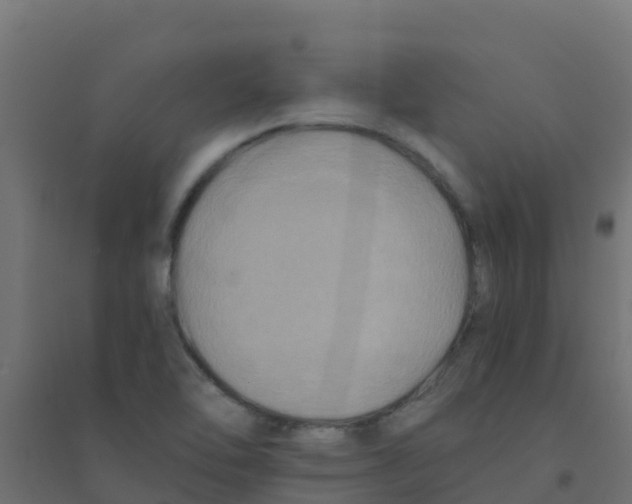 X0000094181462200711241542