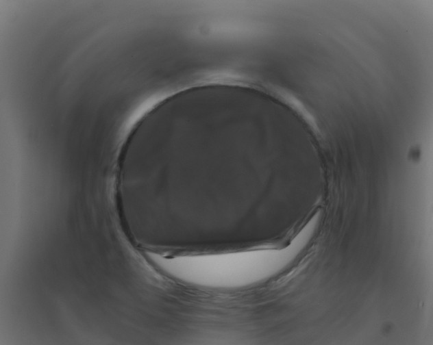 X0000094181463200711241542